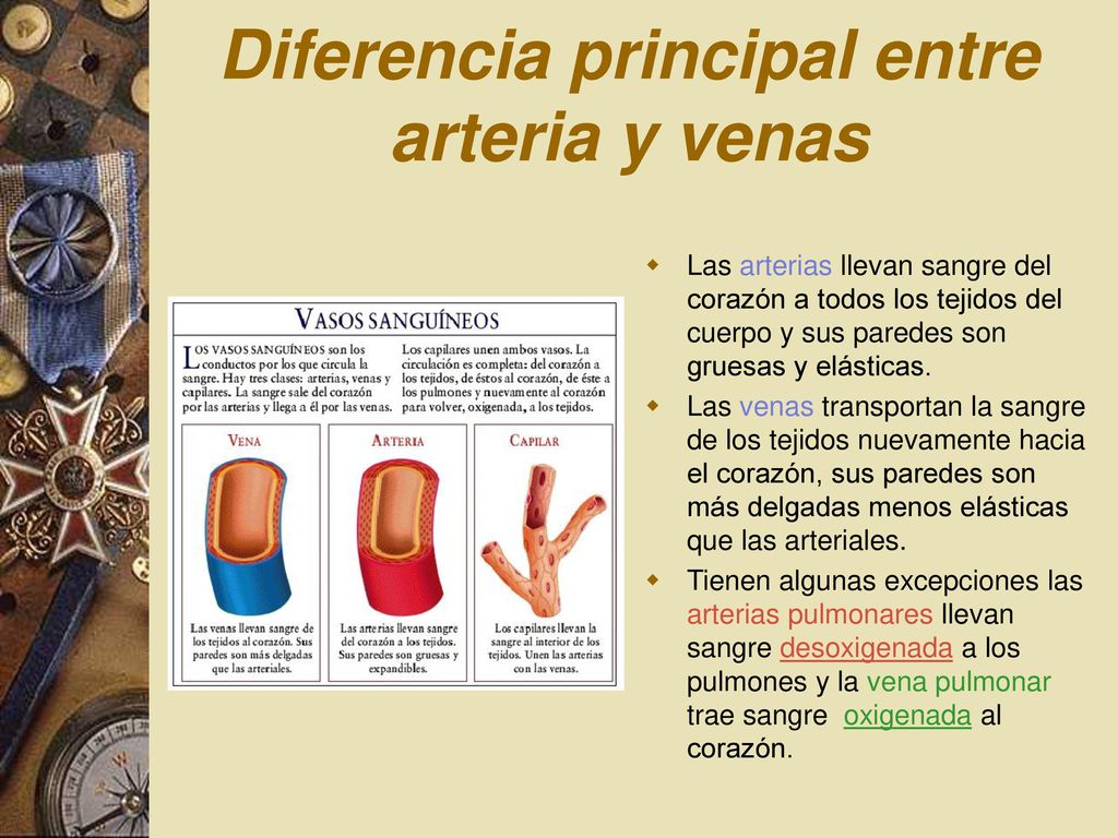 Tratamiento de las varices slideshares